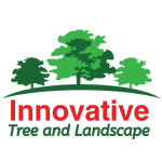 Innovative Tree and Landscape